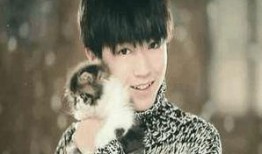 娱乐吃瓜蒋依依吴磊视频,娱乐吃瓜现场曝光